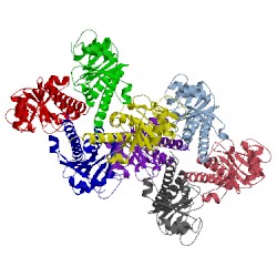 Image of CATH 2flf