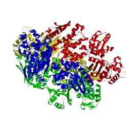 Image of CATH 2flo