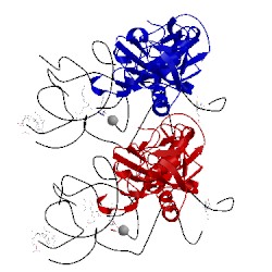 Image of CATH 2fmt