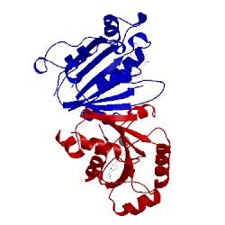 Image of CATH 2fmx