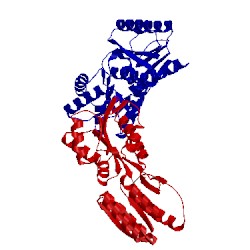 Image of CATH 2fn9