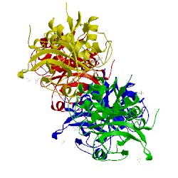 Image of CATH 2fo5