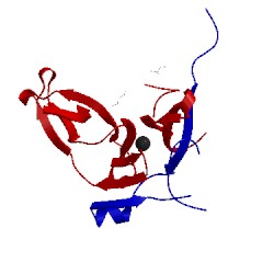 Image of CATH 2fom