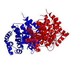 Image of CATH 2fp0