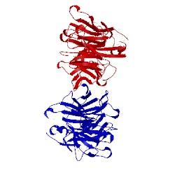 Image of CATH 2fpb