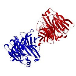 Image of CATH 2fpc