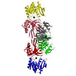 Image of CATH 2fpo