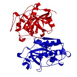 Image of CATH 2fq9