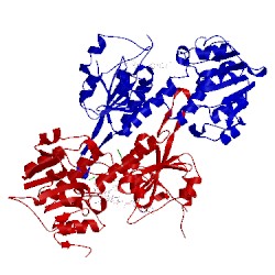 Image of CATH 2frd