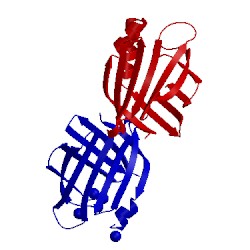 Image of CATH 2frs