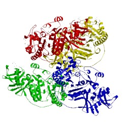 Image of CATH 2frx