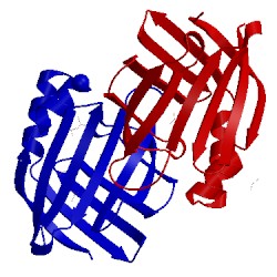 Image of CATH 2fs6