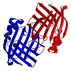 Image of CATH 2fs7