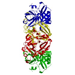 Image of CATH 2fs9