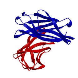 Image of CATH 2fsd