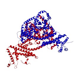 Image of CATH 2fsh