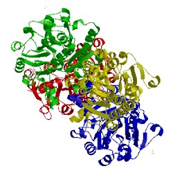 Image of CATH 2fss