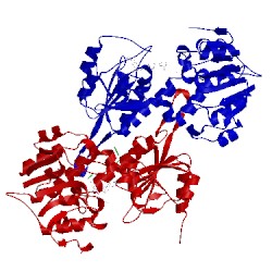 Image of CATH 2fsv