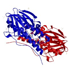 Image of CATH 2fu8