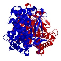 Image of CATH 2fv0