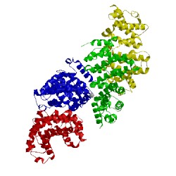 Image of CATH 2fv2