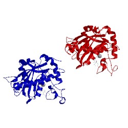 Image of CATH 2fv5