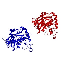 Image of CATH 2fv9