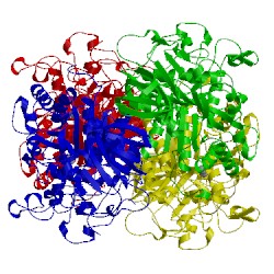 Image of CATH 2fvm