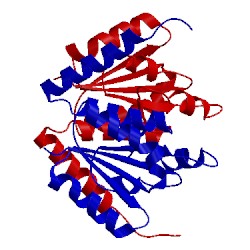 Image of CATH 2fw7