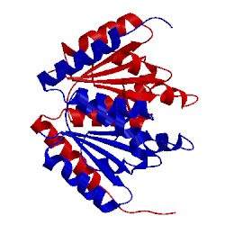 Image of CATH 2fwb