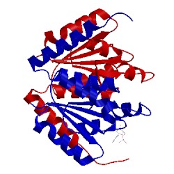 Image of CATH 2fwi