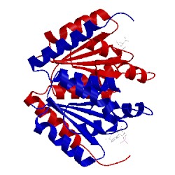 Image of CATH 2fwp