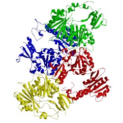 Image of CATH 2fwr