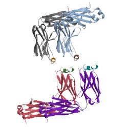 Image of CATH 2fx8