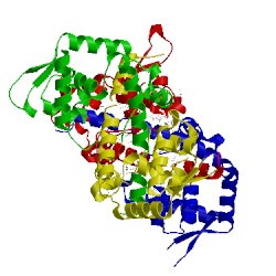 Image of CATH 2fxa