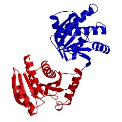 Image of CATH 2fxk