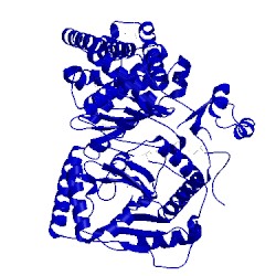 Image of CATH 2fyo