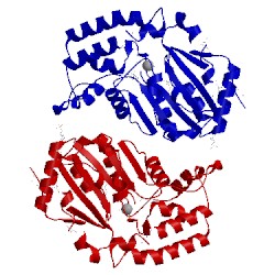 Image of CATH 2g06