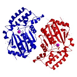 Image of CATH 2g0a