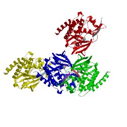 Image of CATH 2g1t