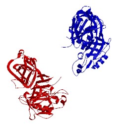 Image of CATH 2g21