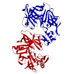 Image of CATH 2g26