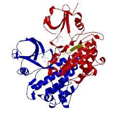Image of CATH 2g2i