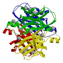 Image of CATH 2g2n