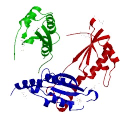 Image of CATH 2g2q