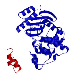 Image of CATH 2g2u