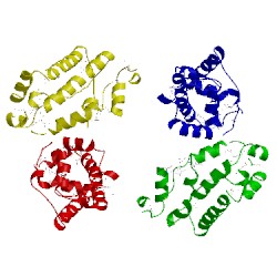 Image of CATH 2g3v