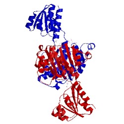 Image of CATH 2g76