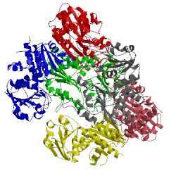 Image of CATH 2g7m