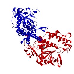 Image of CATH 2g7q